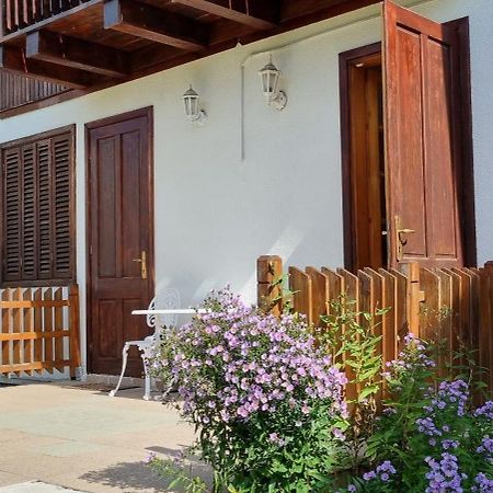 Vila Panselutelor 6 Сіная Екстер'єр фото
