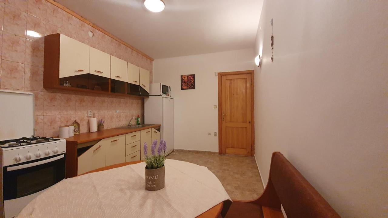 Vila Panselutelor 6 Сіная Екстер'єр фото