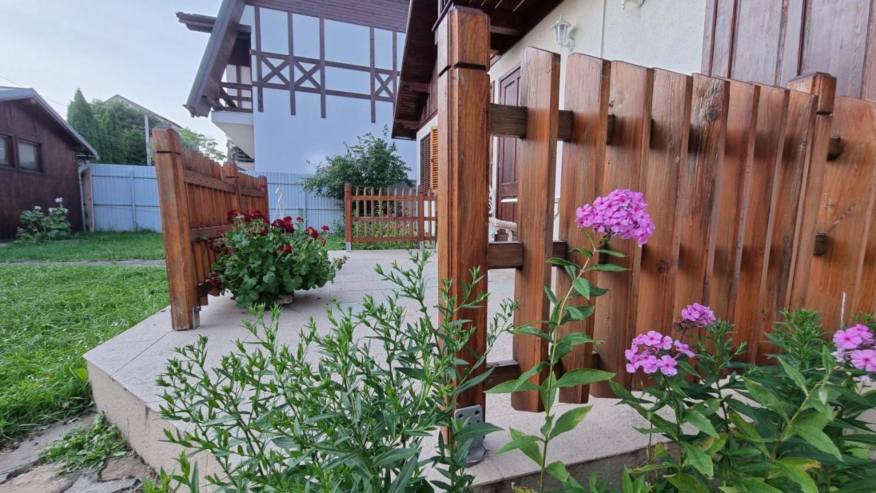 Vila Panselutelor 6 Сіная Екстер'єр фото